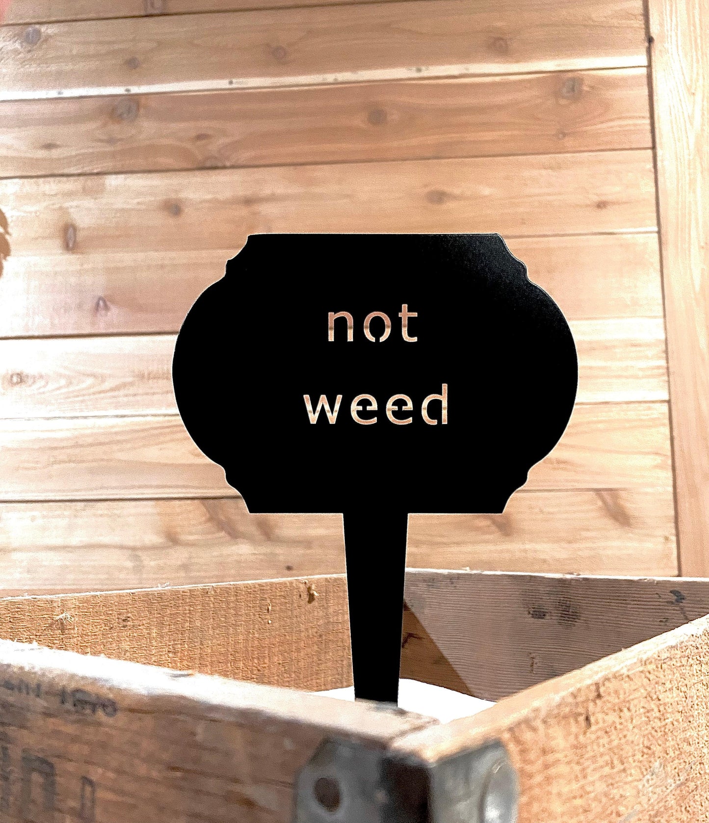 Funny Garden Markers – Humorous Plant Signs for Gardeners - RMMDecor