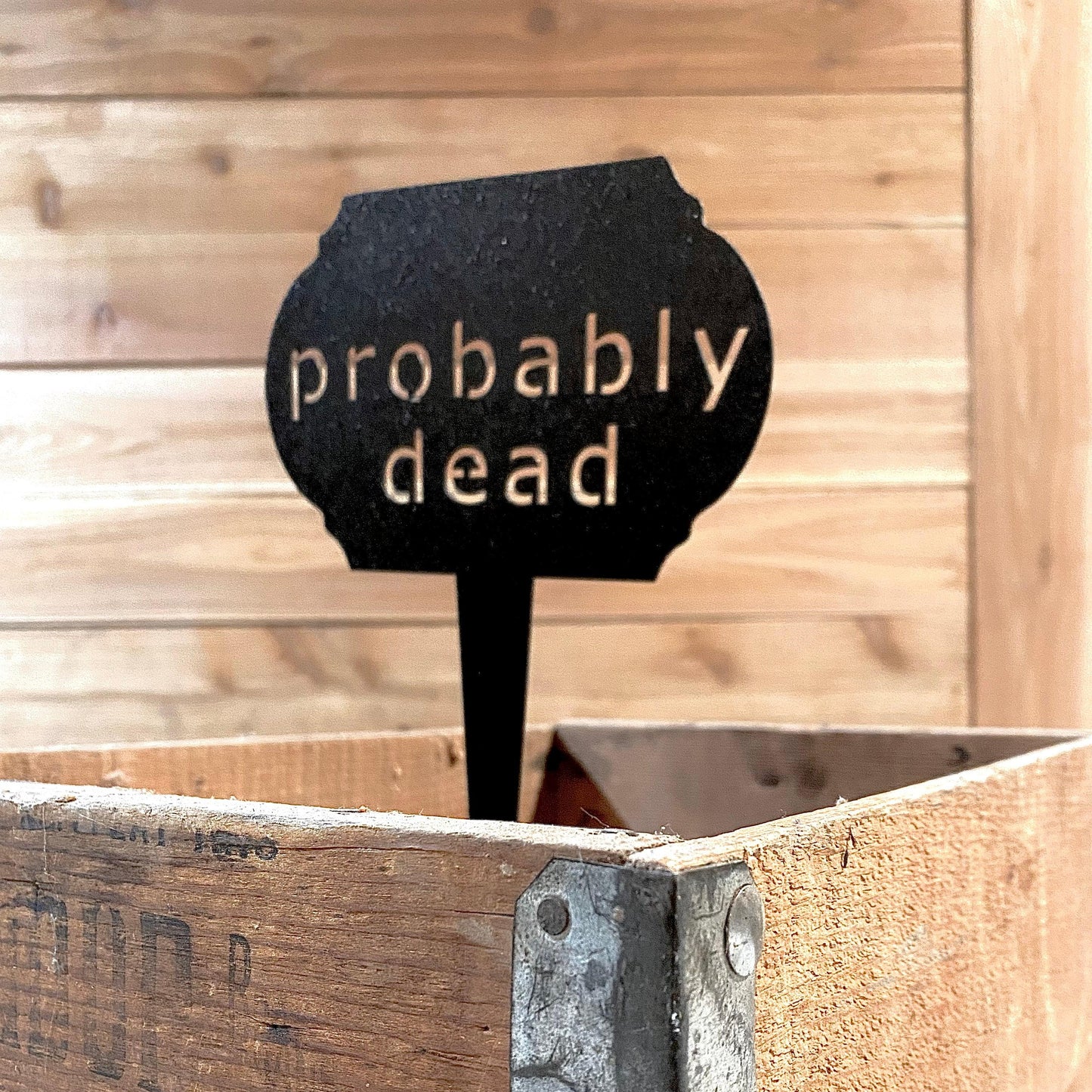Funny Garden Markers – Humorous Plant Signs for Gardeners - RMMDecor