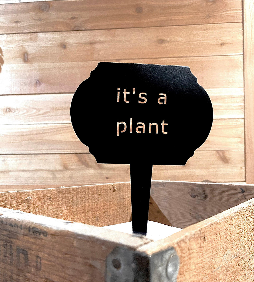 Funny Garden Markers – Humorous Plant Signs for Gardeners - RMMDecor