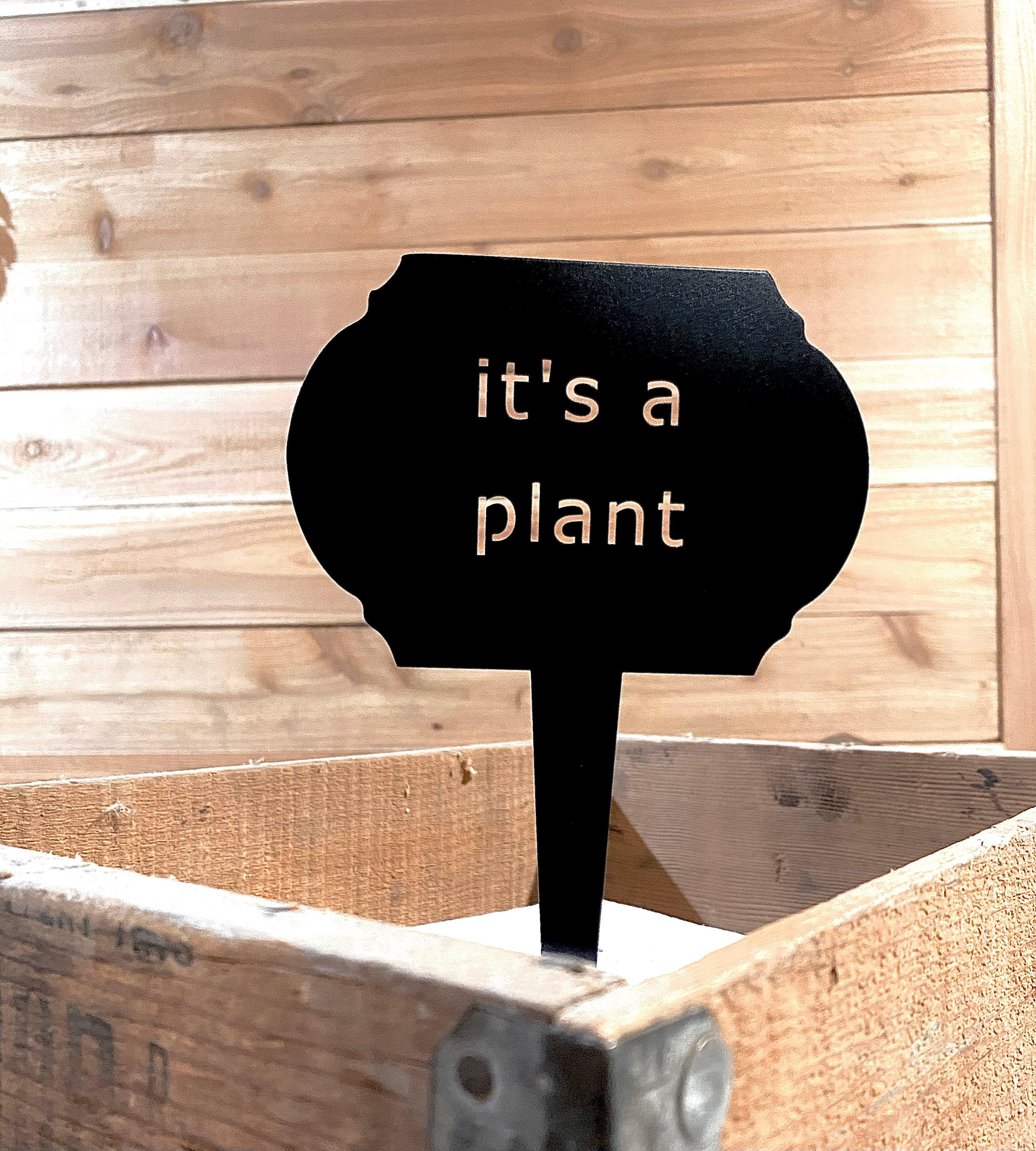 Funny Garden Markers – Humorous Plant Signs for Gardeners - RMMDecor