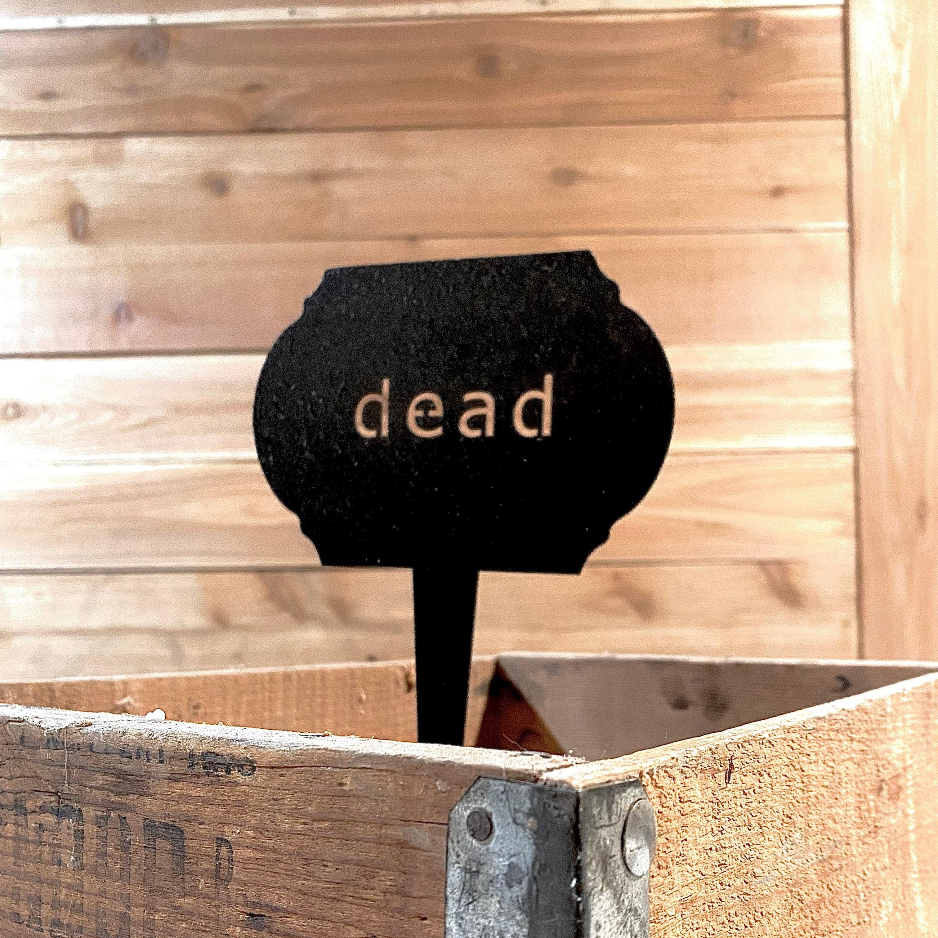 Funny Garden Markers – Humorous Plant Signs for Gardeners - RMMDecor