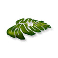 Metal Leaf Monstera Tropical Decor