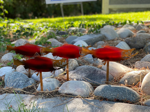 Four precision-cut metal sockeye salmon garden stakes with copper and red powder coat finish designed for river rock bed and dry creek garden decoration