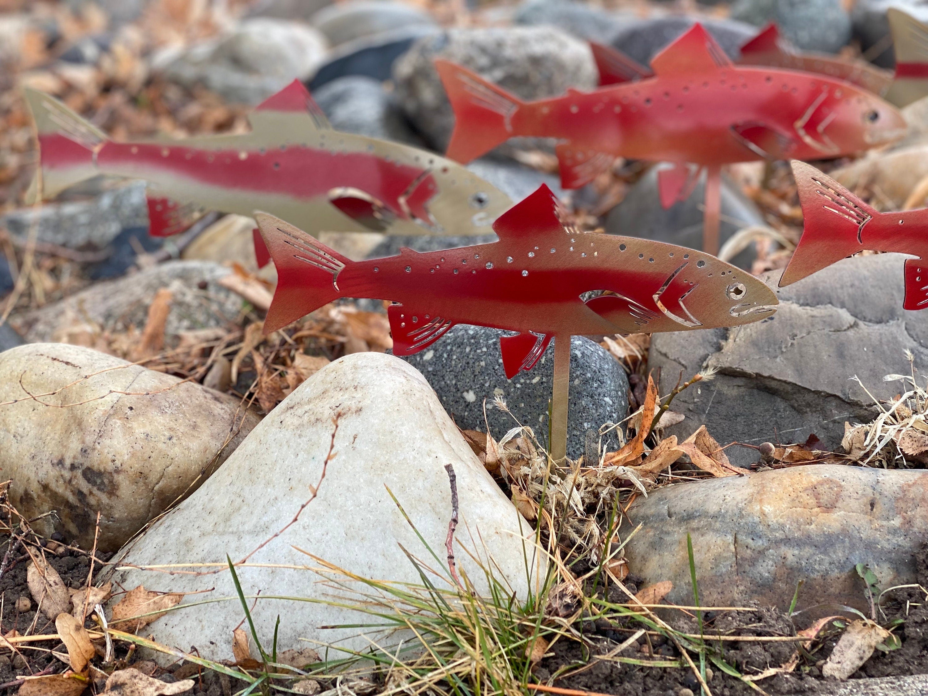 Golden rainbow trout metal garden stake with powder-coated golden-red finish and attached ground stake for river rock bed decoration