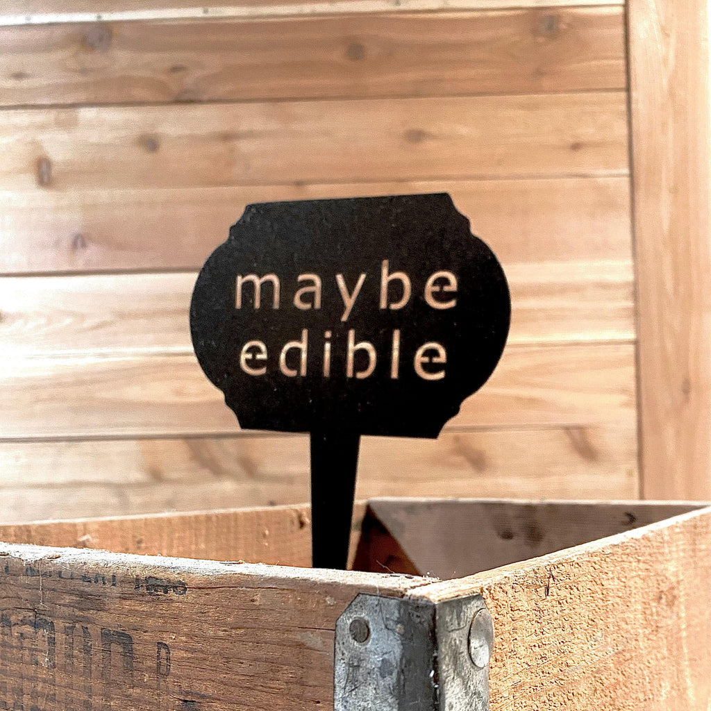 Funny Garden Markers – Humorous Plant Signs for Gardeners - RMMDecor