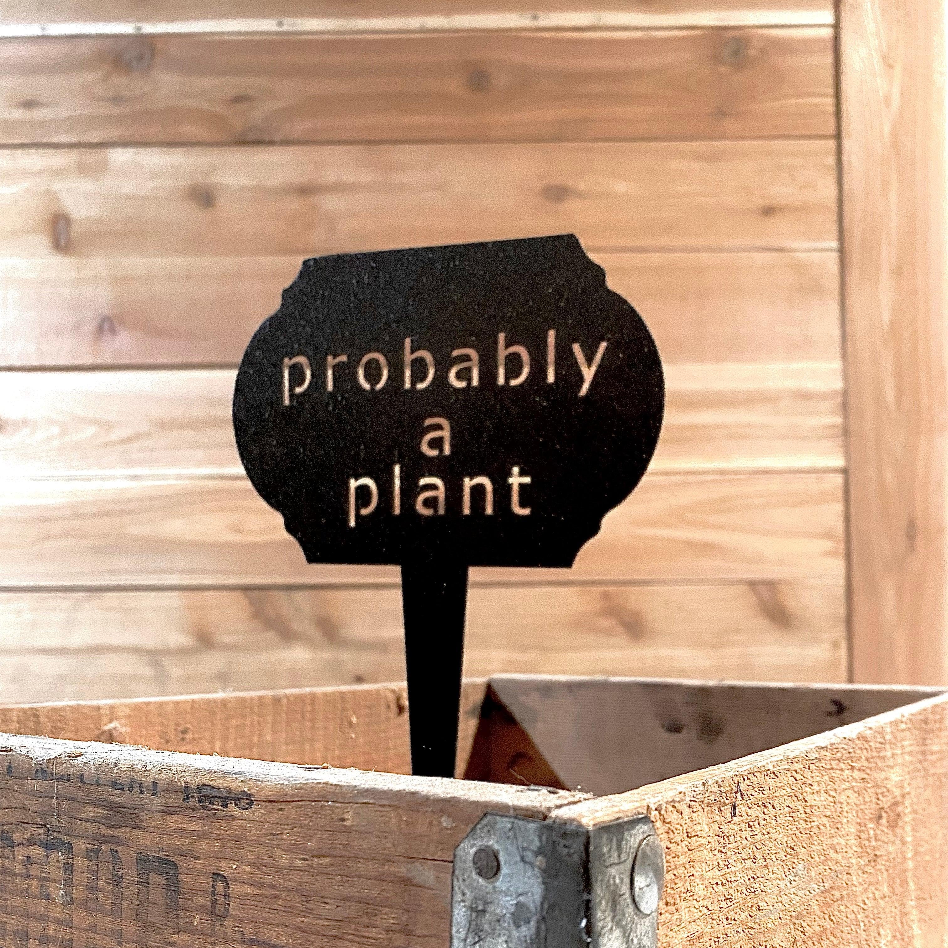 Funny Garden Markers – Humorous Plant Signs for Gardeners - RMMDecor