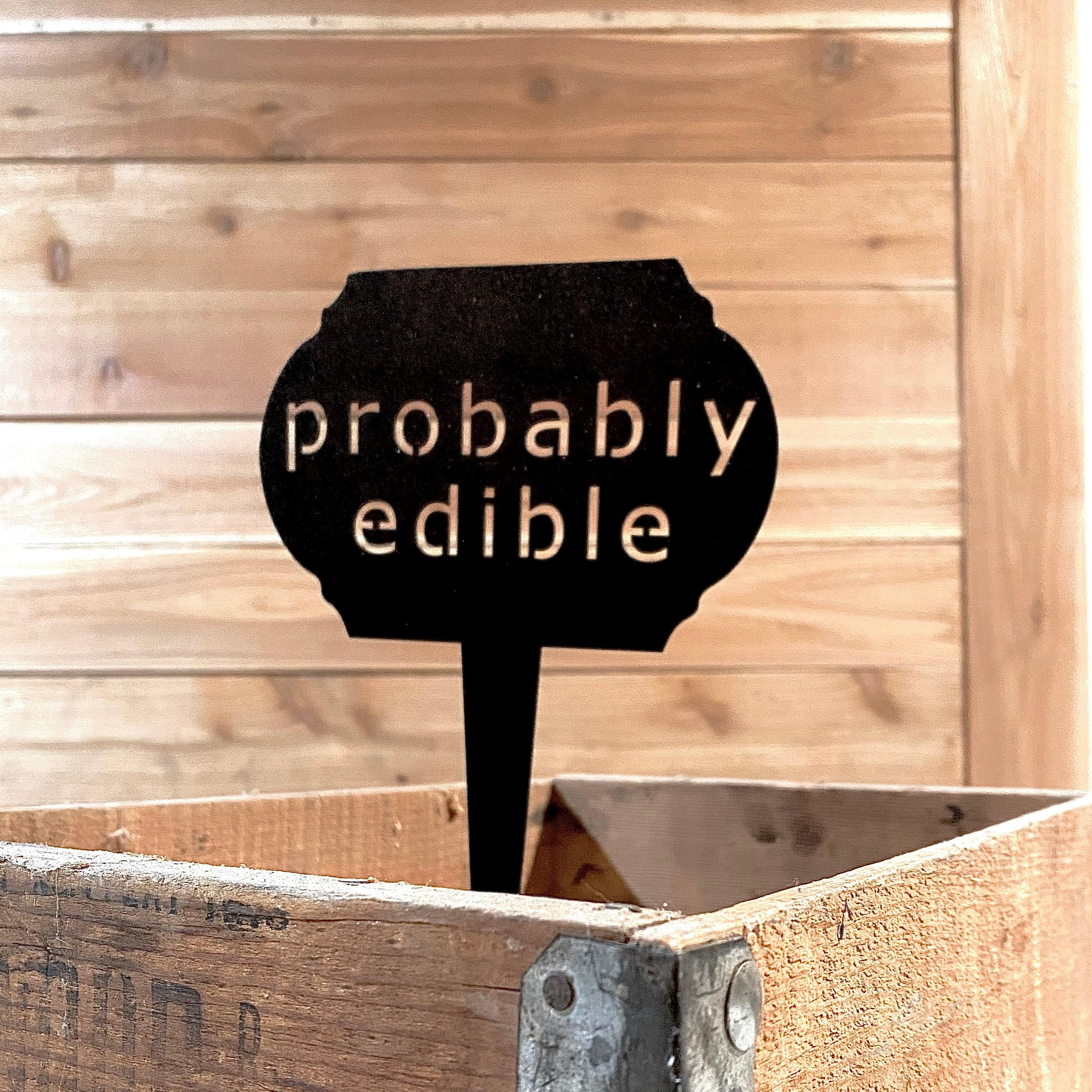 Funny Garden Markers – Humorous Plant Signs for Gardeners - RMMDecor