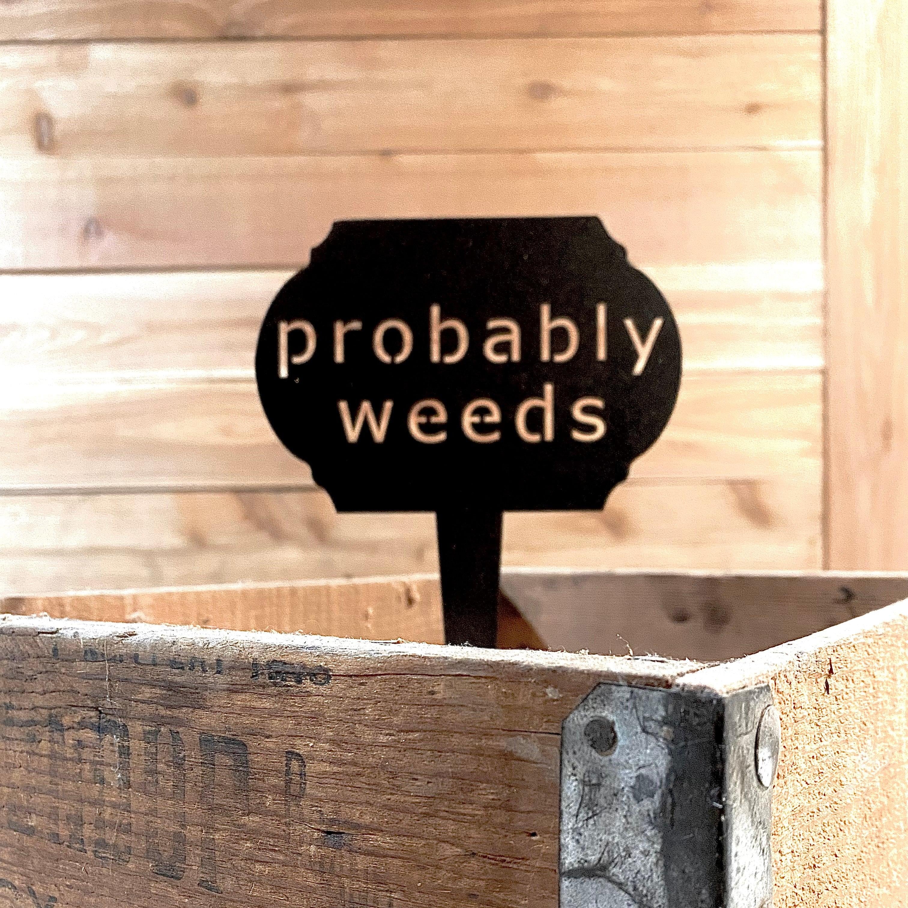 Funny Garden Markers – Humorous Plant Signs for Gardeners - RMMDecor