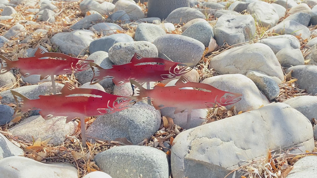 Metal Salmon River Rock Garden Decor – Powder Coated Yard Art