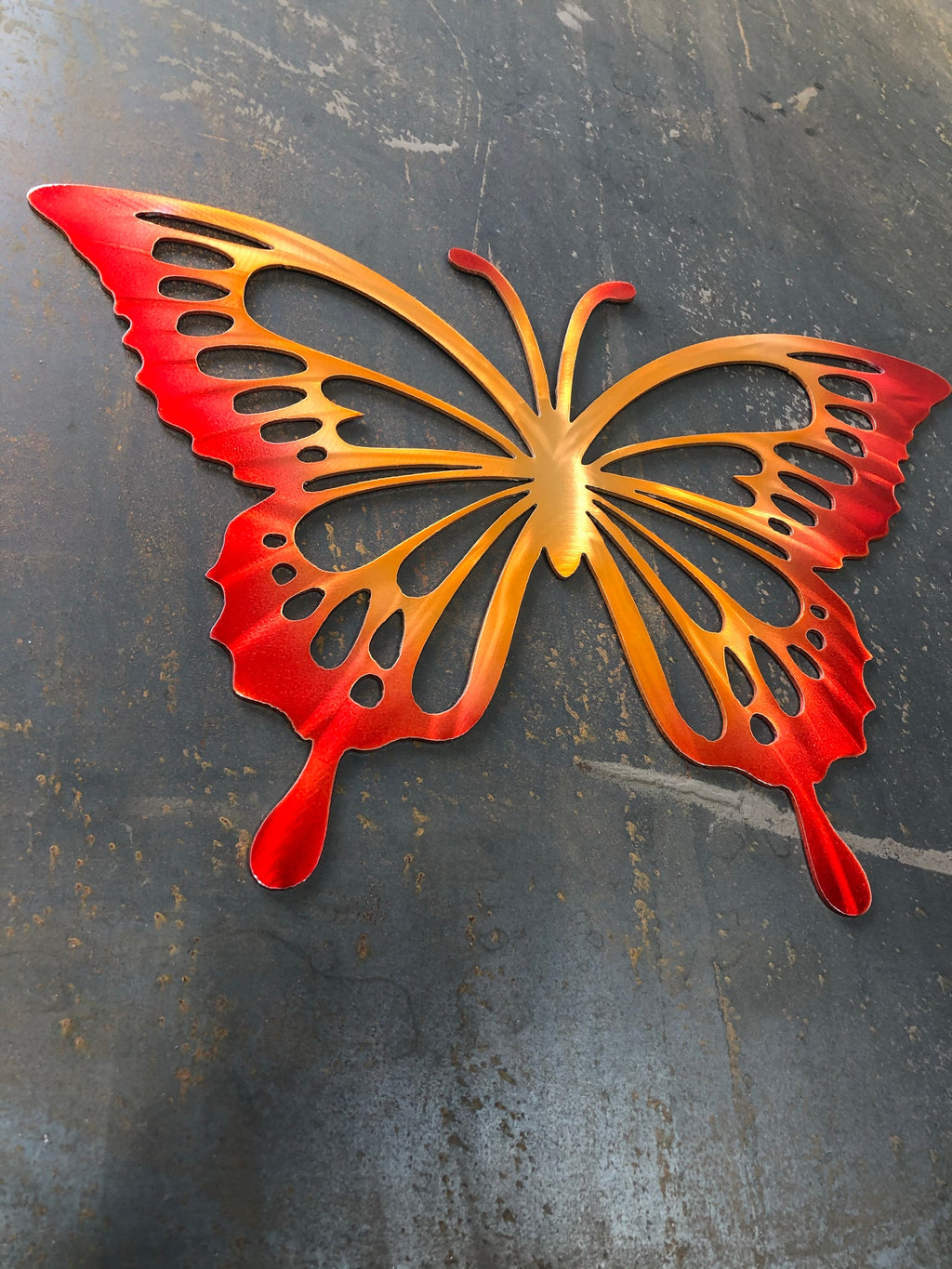 Monarch Butterfly