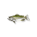 Largemouth Bass Metal Wall Art – Fishing & Cabin Decor - RMMDecor