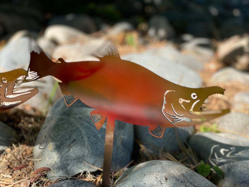 Metal Coho Salmon Garden Stakes – Durable Outdoor Fish Art - RMMDecor