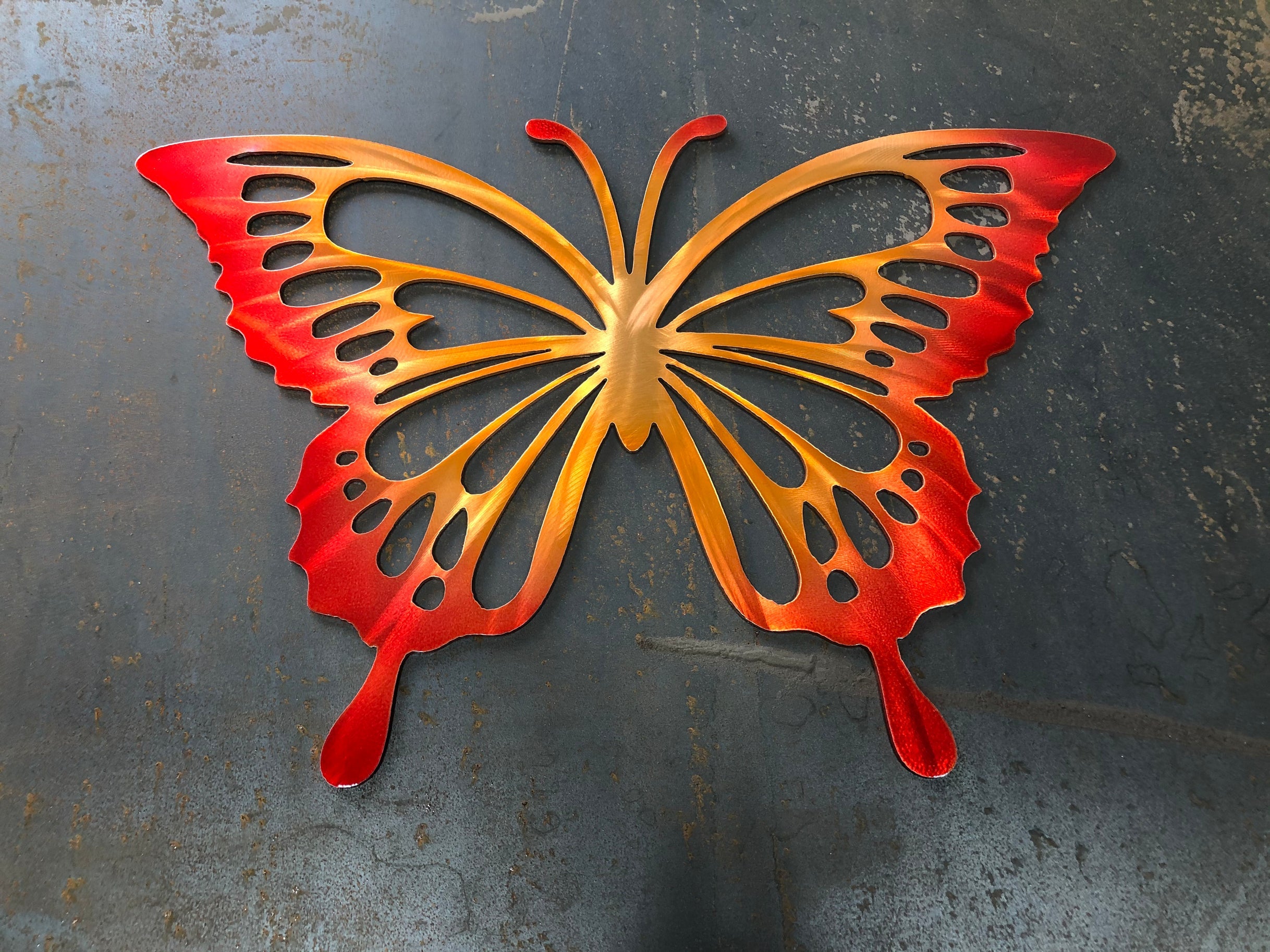 Monarch Butterfly
