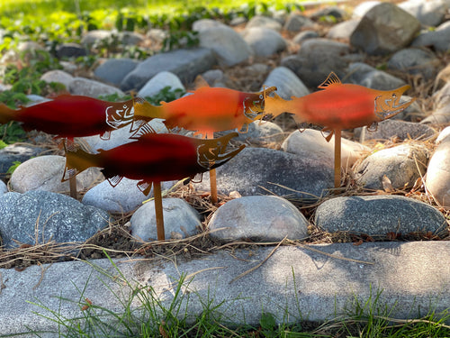 Metal Coho Salmon Garden Stakes – Durable Outdoor Fish Art - RMMDecor