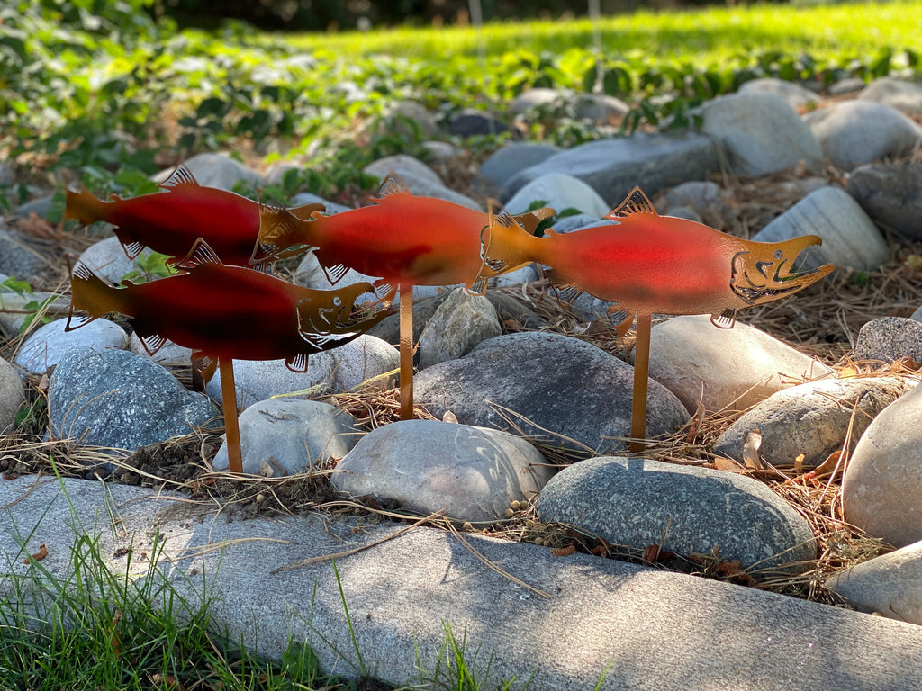 Metal Coho Salmon Garden Stakes – Durable Outdoor Fish Art - RMMDecor