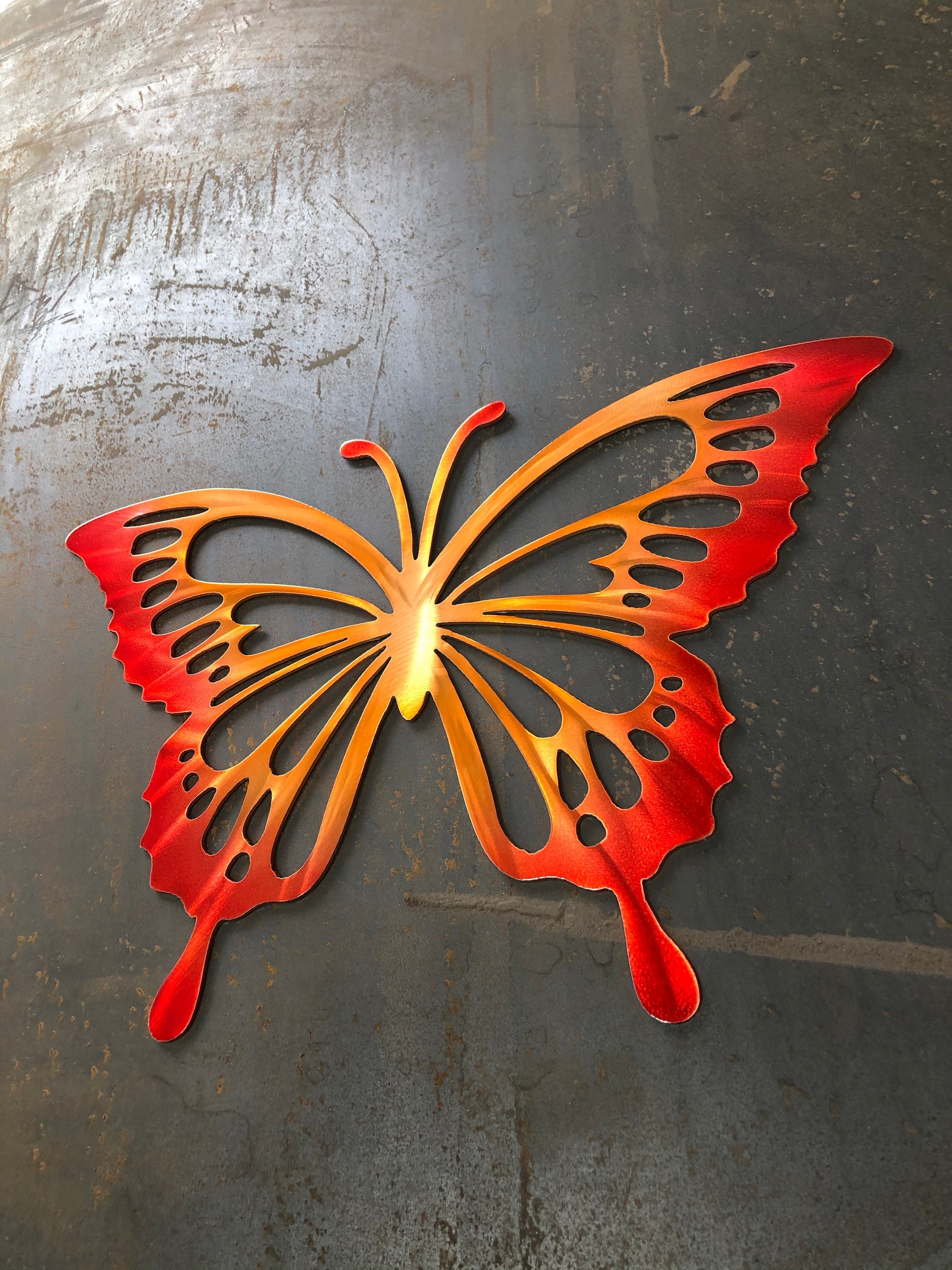 Monarch Butterfly