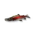 Salmon Metal Wall Art – Perfect Gift for Fishermen & Cabin Decor - RMMDecor