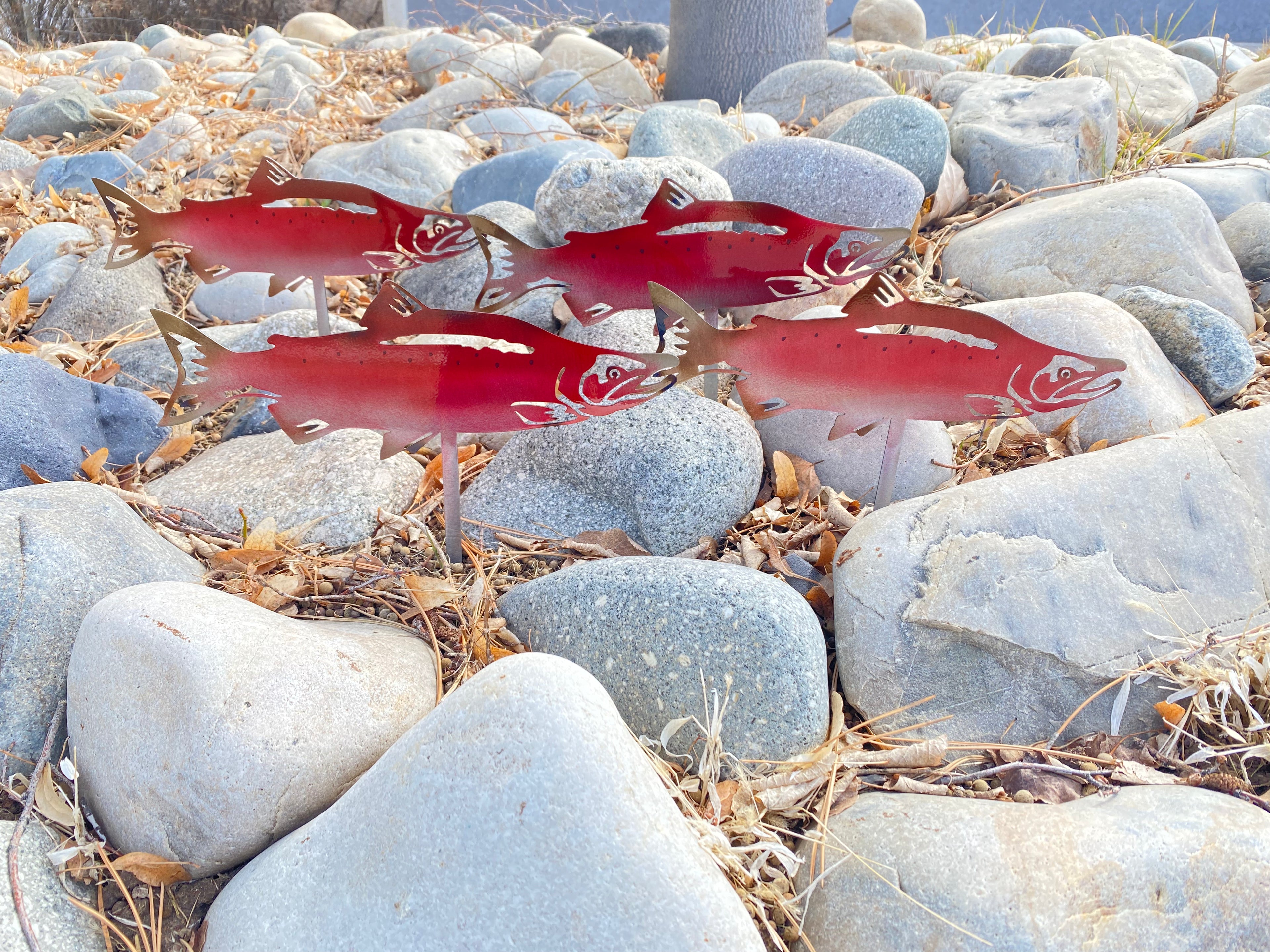 Metal Salmon River Rock Garden Decor – Powder Coated Yard Art - RMMDecor